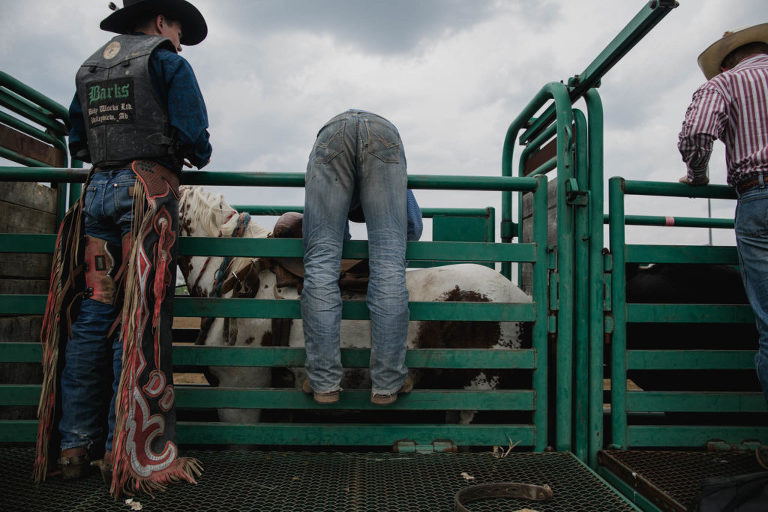 cowboy does up saddle at stony plain rodeo