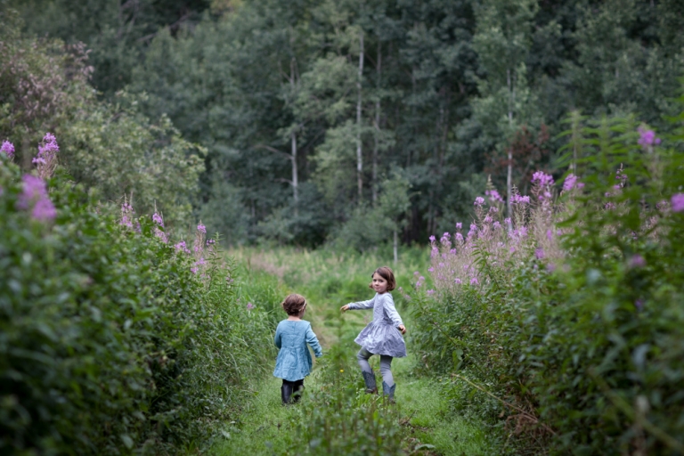 free range children run down the path between the fireweed during a Canadian summer in Parkland County