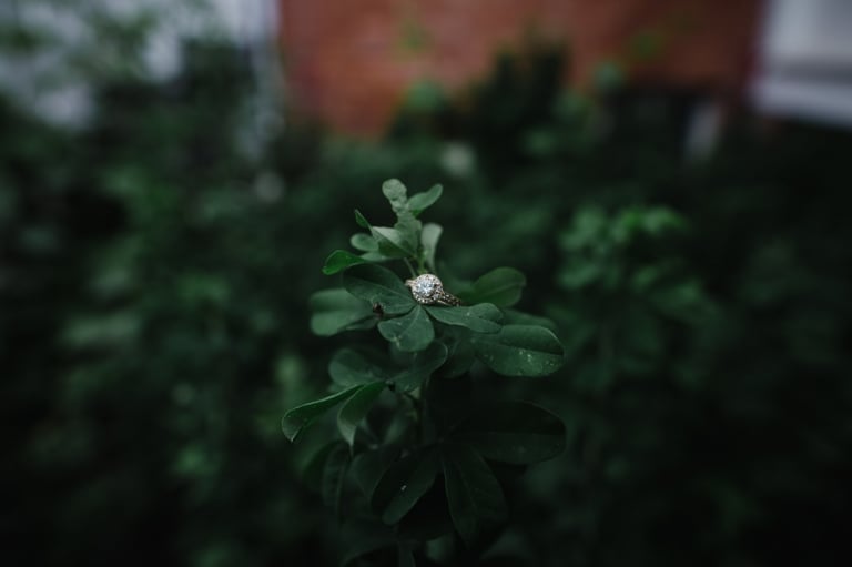 a diamond engagement ring is photographed on a vibrant green leaf