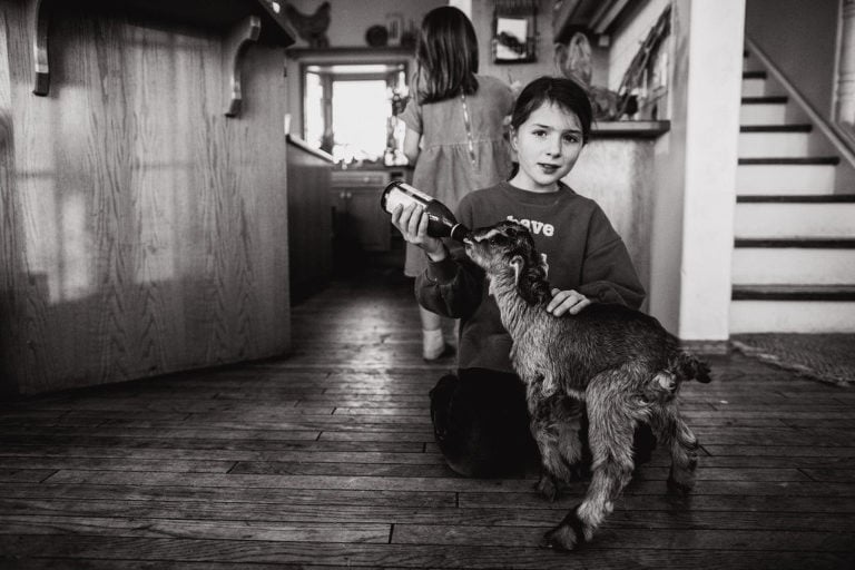 girl feeds baby goat bottle of milk in house