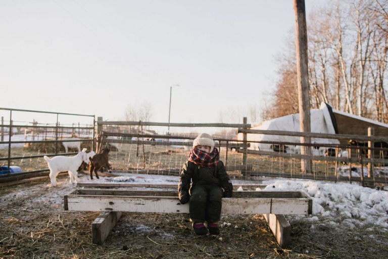 farm kid sitting in pen in winter clothes