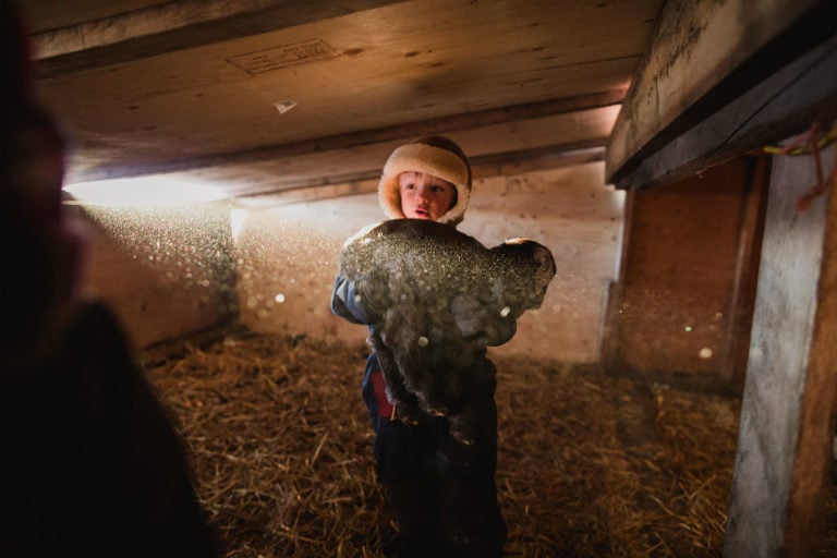 little boy holds baby goat inside shelter
