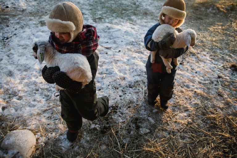 twin siblings carry twin goat siblings